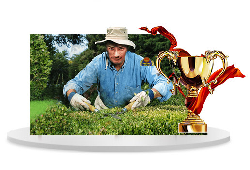 北京防腐木大花架,北京防腐木柵欄,北京別墅木屋設計 北京防腐木大花架,北京防腐木柵欄,北京別墅木屋設計